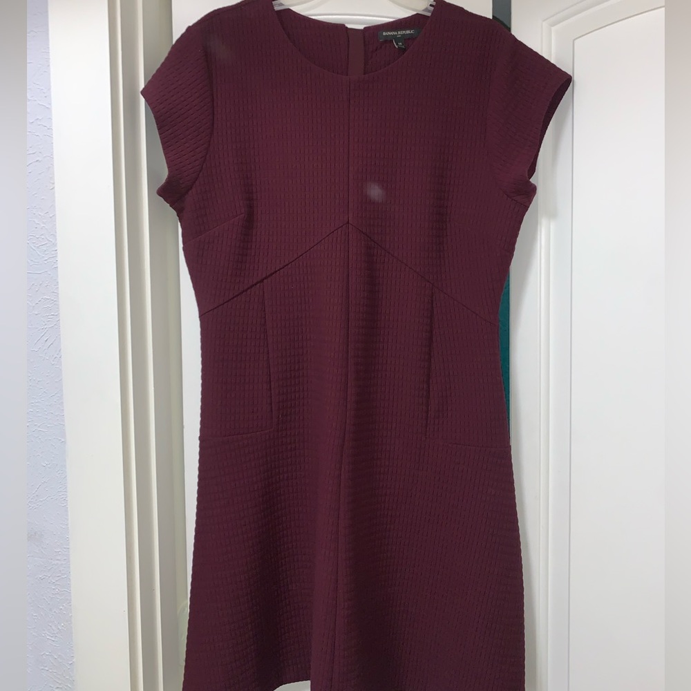 Banana Republic Factory Maroon Fit and Flare Dress